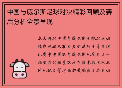 中国与威尔斯足球对决精彩回顾及赛后分析全景呈现