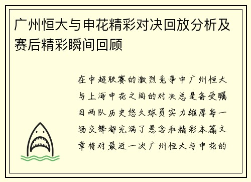 广州恒大与申花精彩对决回放分析及赛后精彩瞬间回顾